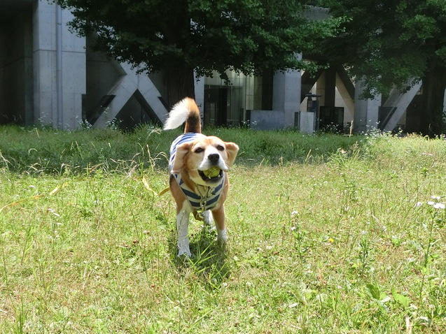 a0319693_741387.jpg