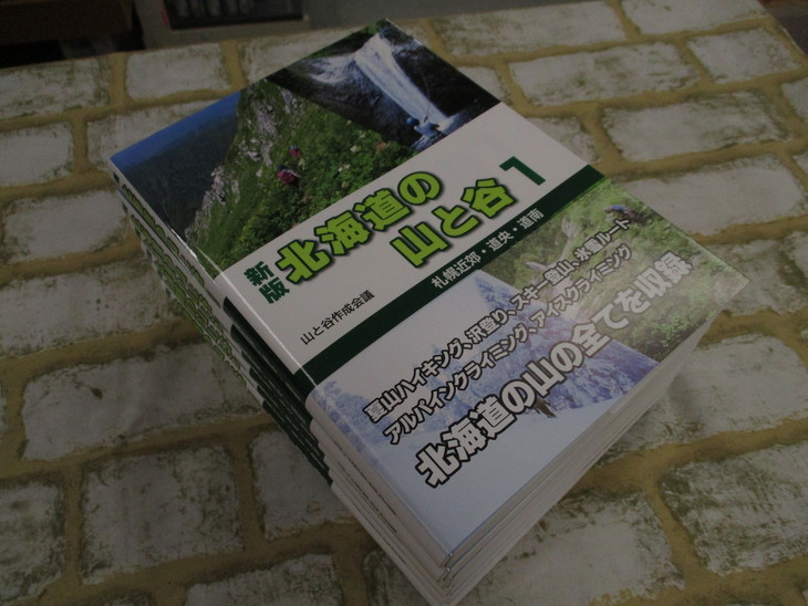 d0198793_18424464.jpg