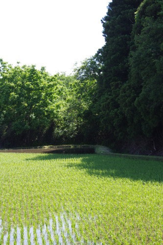 c0337494_16123562.jpg