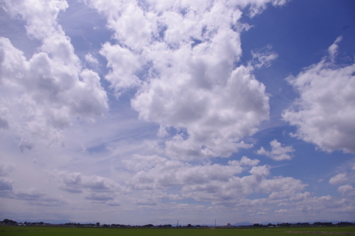 c0337494_16132017.jpg