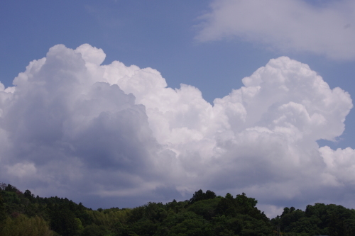 c0337494_16133573.jpg