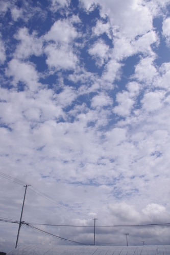 c0337494_16141928.jpg