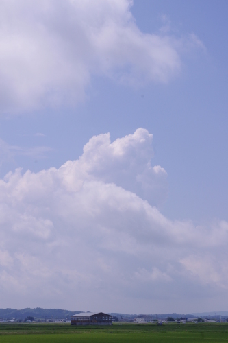 c0337494_16162347.jpg