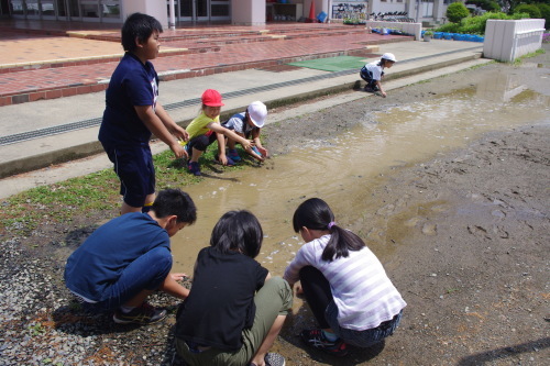 c0337494_16163807.jpg