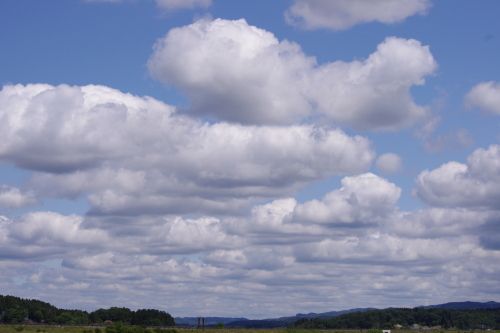 c0337494_16181867.jpg