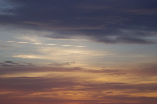 c0337494_16204364.jpg