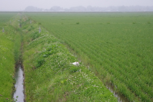 c0337494_16225478.jpg