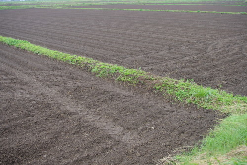 c0337494_16243131.jpg