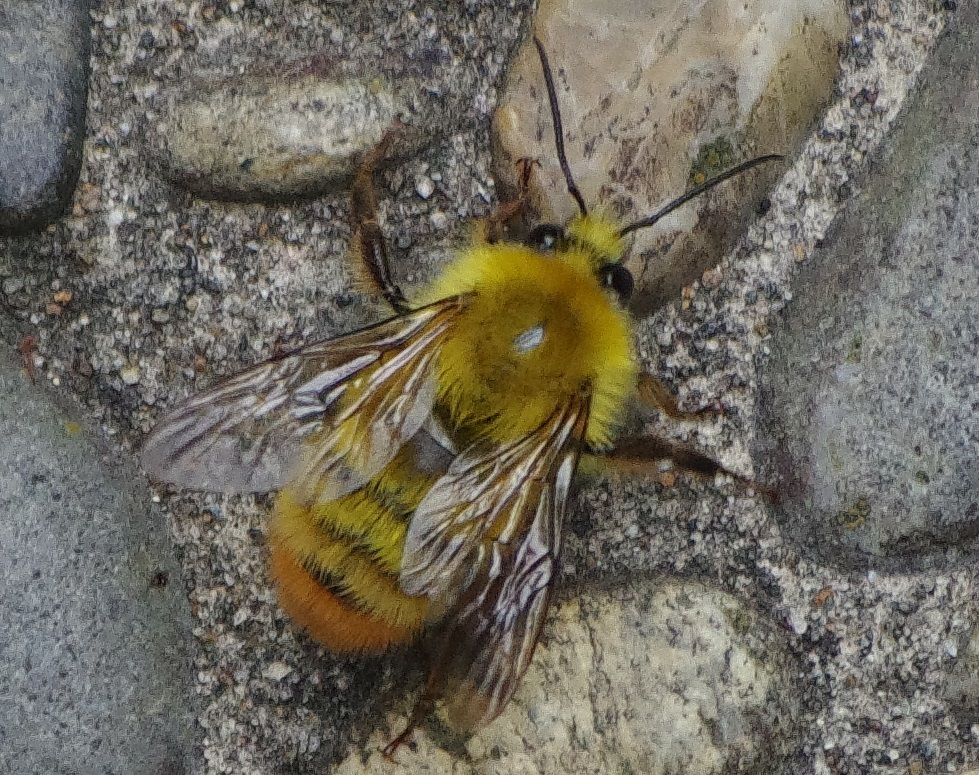 b0028598_18564640.jpg