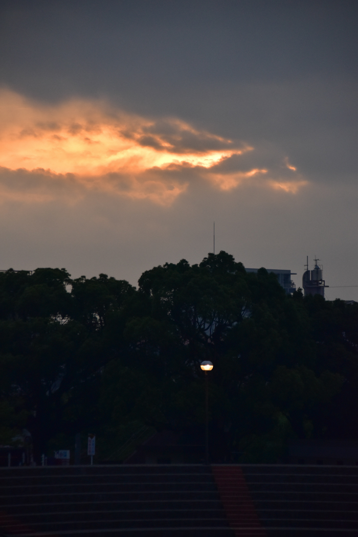 c0049299_22145715.jpg