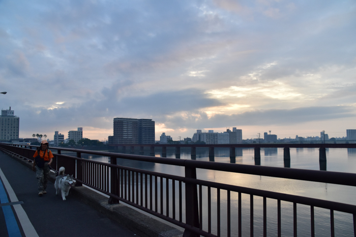c0049299_22145897.jpg