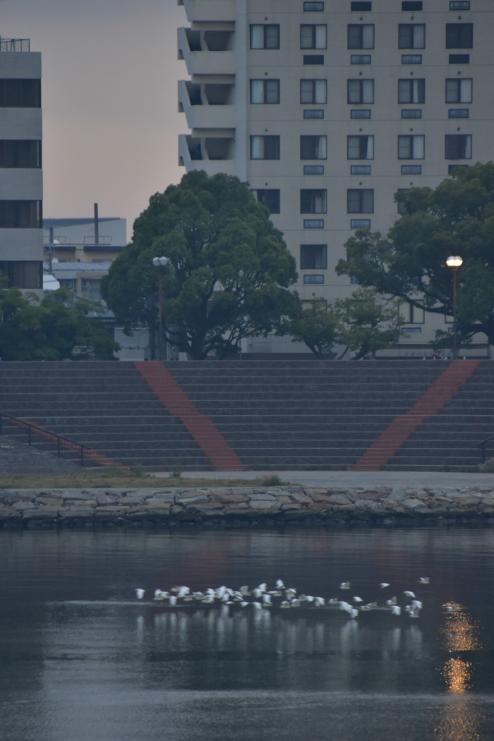 c0049299_22145915.jpg