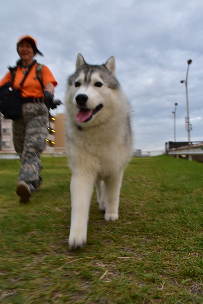 c0049299_22145925.jpg