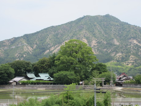 f0231709_02595585.jpg