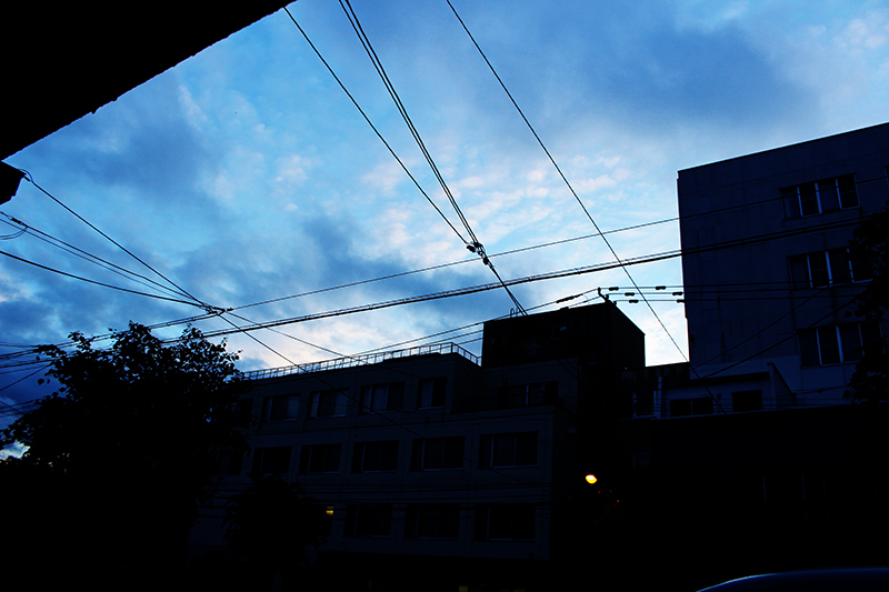 a0139912_19480866.jpg