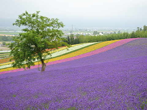 c0207714_11174777.jpg