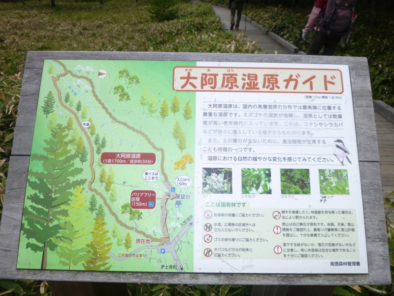 d0170615_10361962.jpg