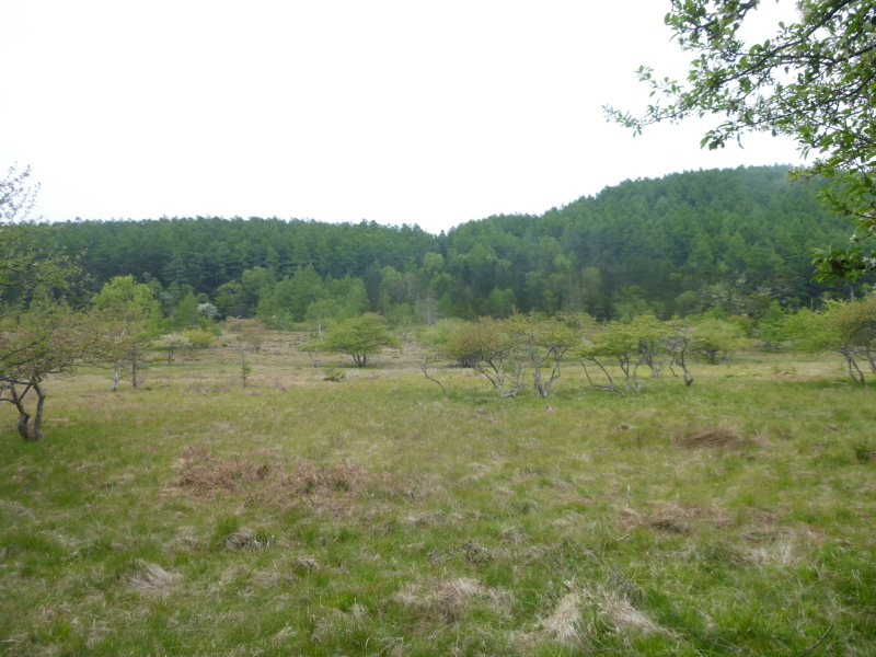 d0170615_10371511.jpg