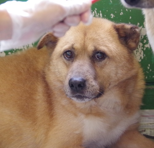 f0078320_03262998.jpg