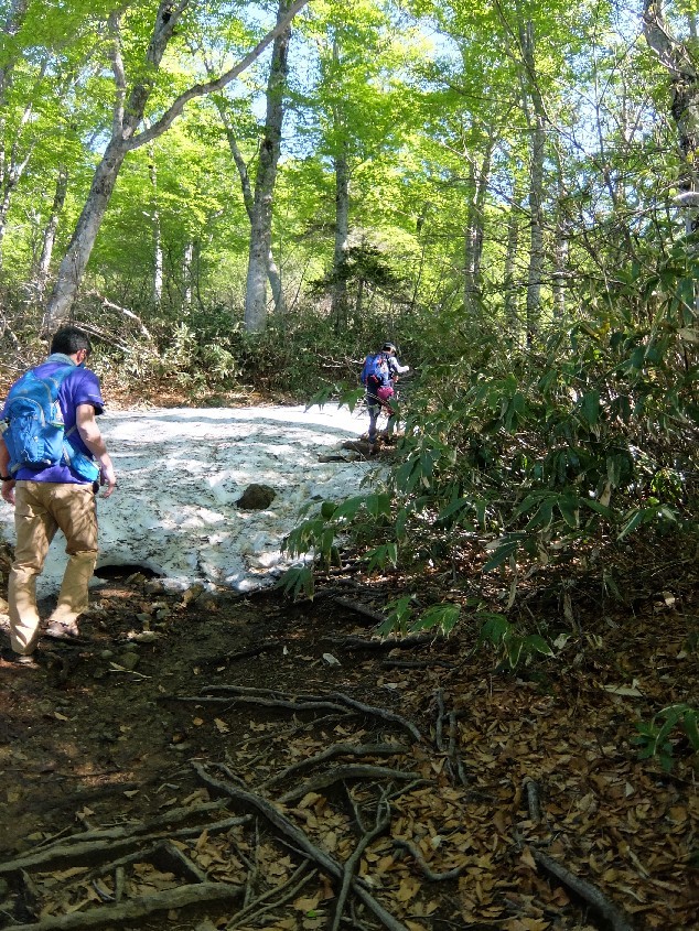 f0131721_05141663.jpg