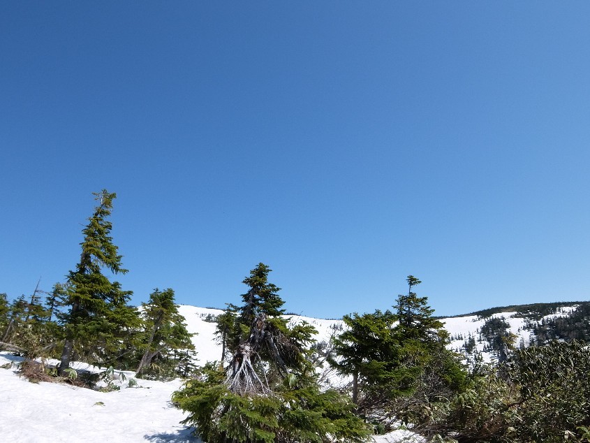 f0131721_05165376.jpg