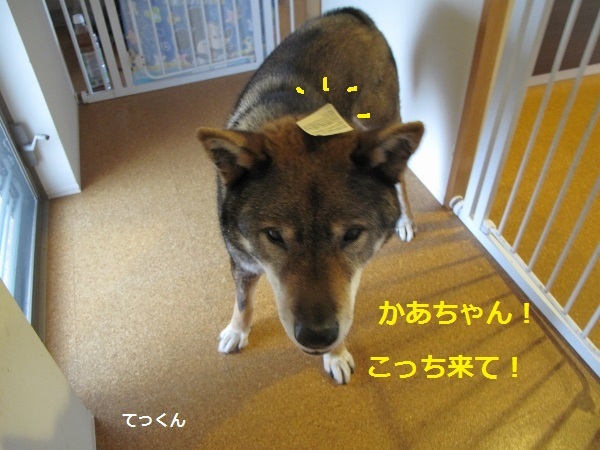 f0143123_09375589.jpg