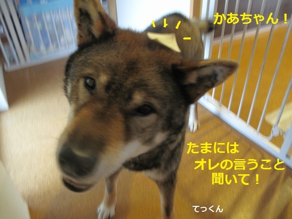 f0143123_09380164.jpg