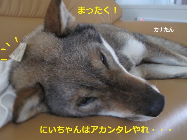 f0143123_09530769.jpg