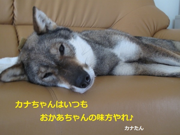 f0143123_09531589.jpg
