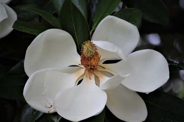 f0354923_22571252.jpg