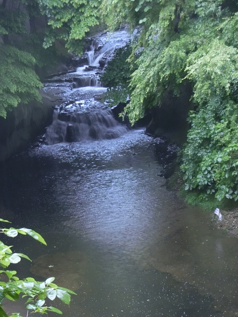 f0354923_23124948.jpg