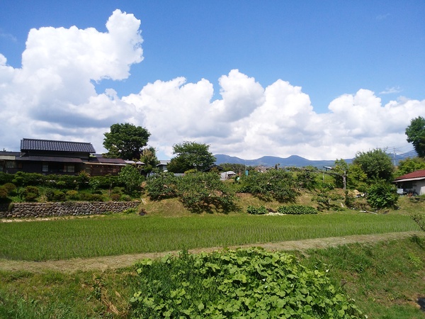 a0123724_12361323.jpg