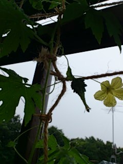 e0029132_10331284.jpg