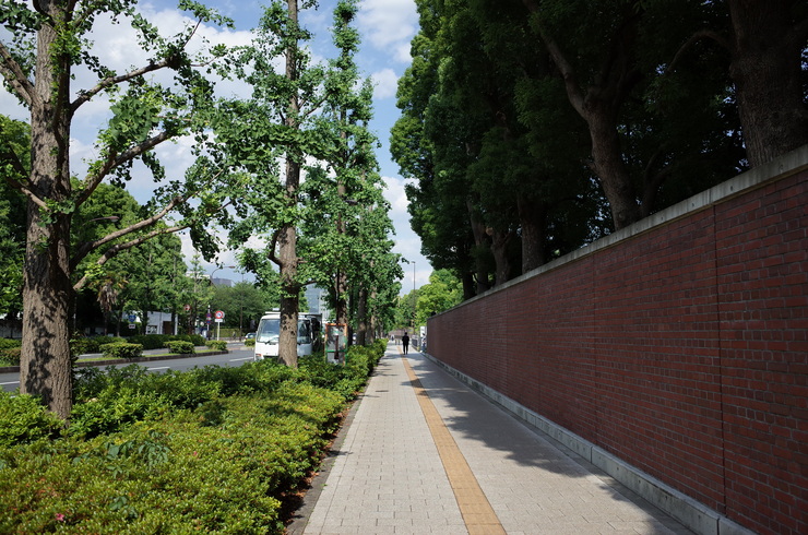 a0287336_21552586.jpg