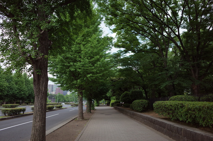 a0287336_2234286.jpg