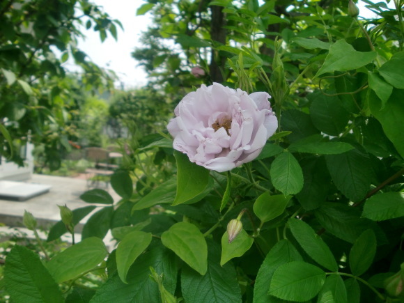 a0279743_07503988.jpg