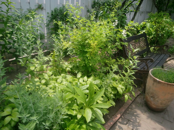 a0279743_07515058.jpg
