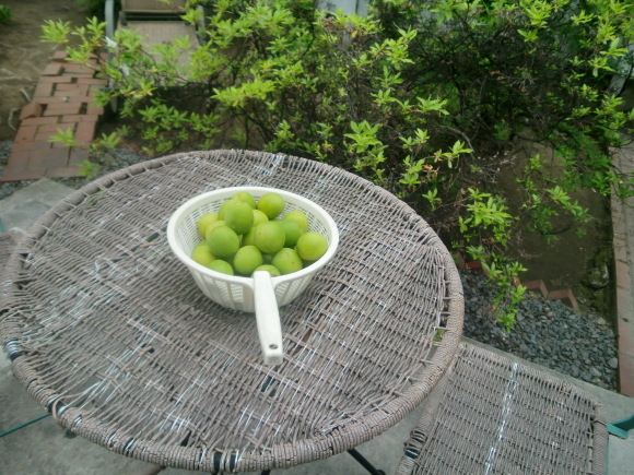 a0279743_07534325.jpg