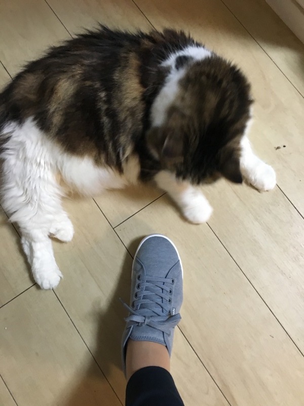 e0033248_01552182.jpeg