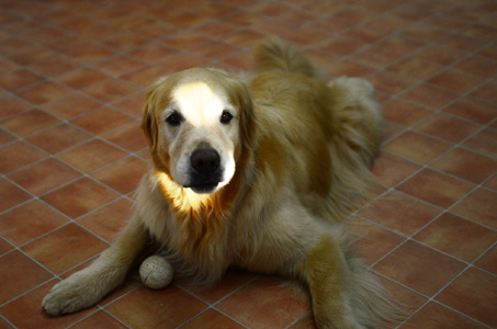 f0044853_2011327.jpg