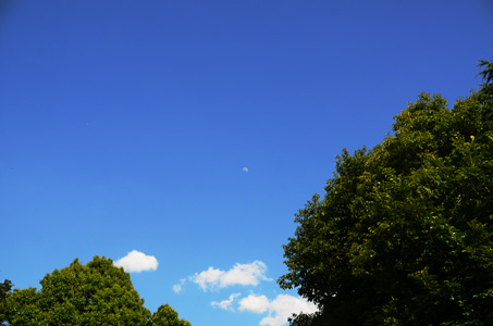 f0044853_20114083.jpg