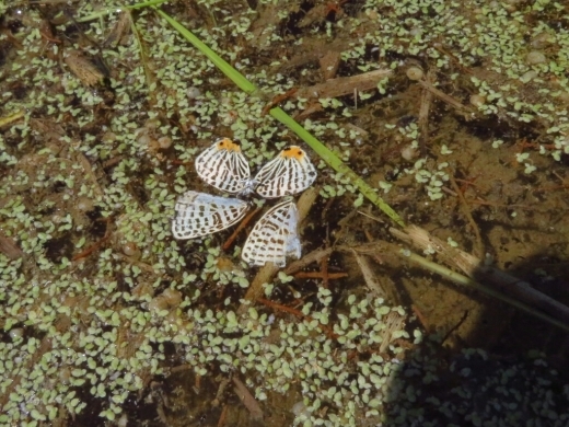 a0018655_15311006.jpg