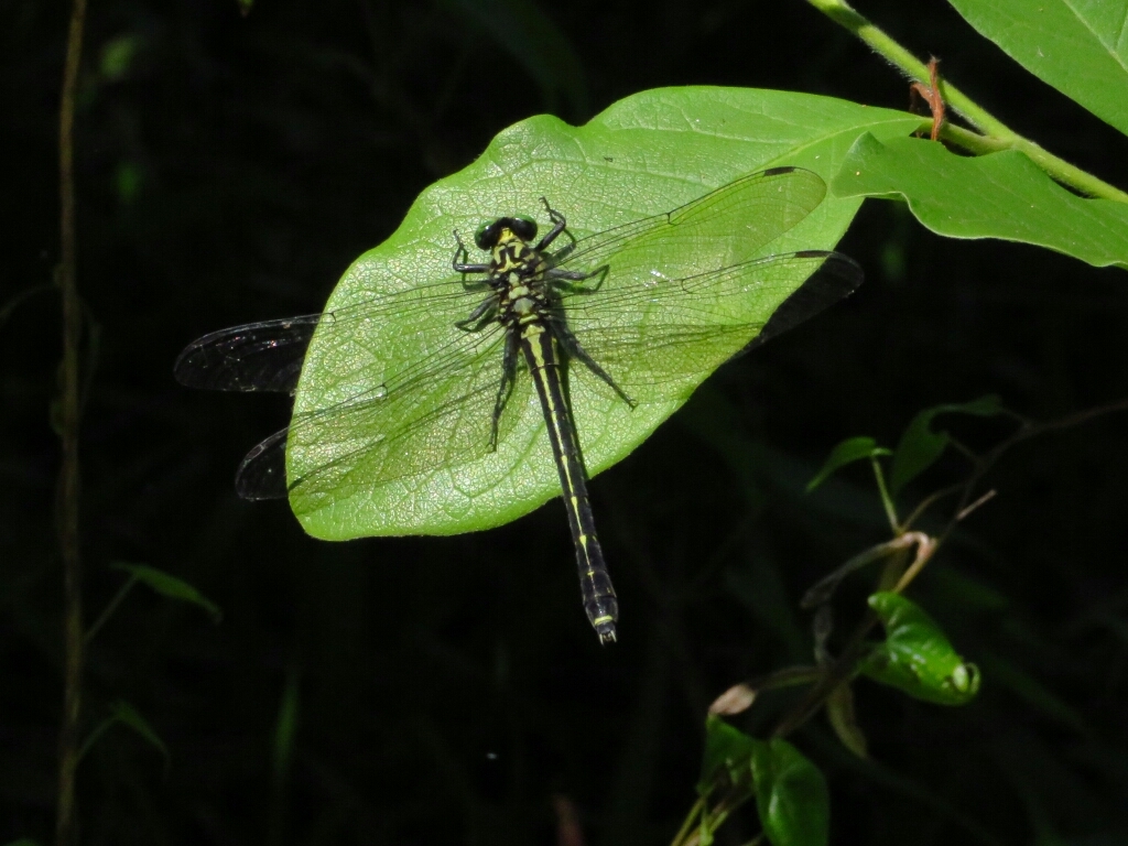 a0018655_15311790.jpg