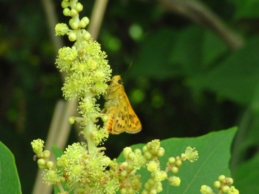 a0018655_15312769.jpg