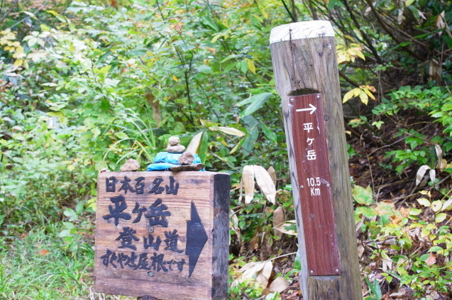 a0288155_17452588.jpg