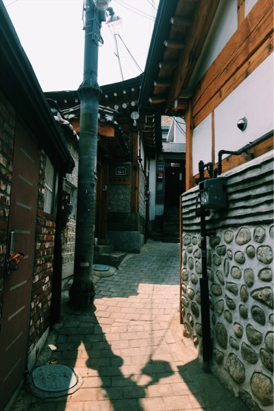 b0205159_15485278.jpg