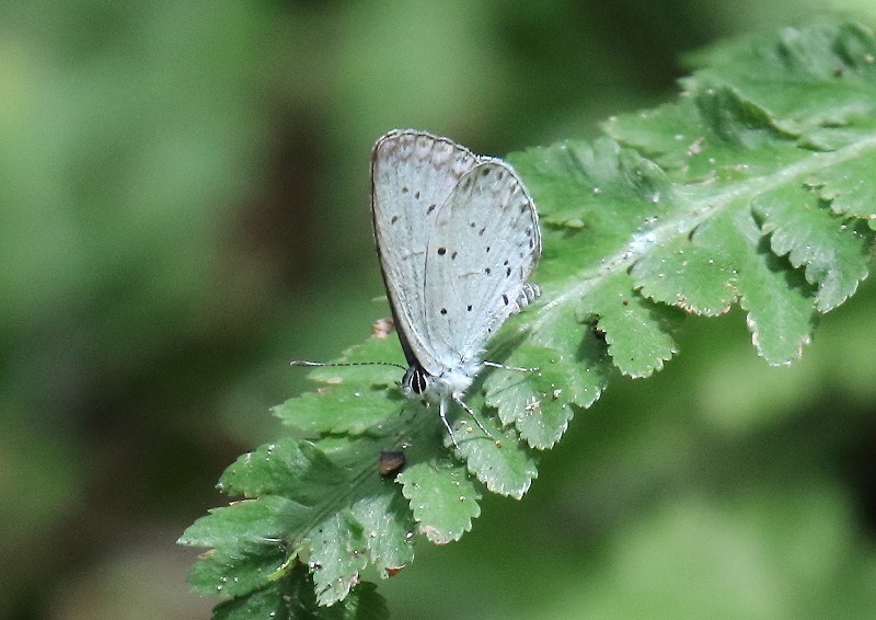 c0114159_22505665.jpg