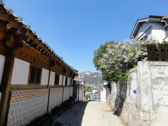 b0116765_21454421.jpg