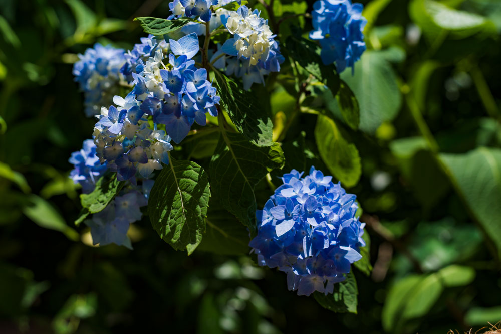 c0108673_11312100.jpg