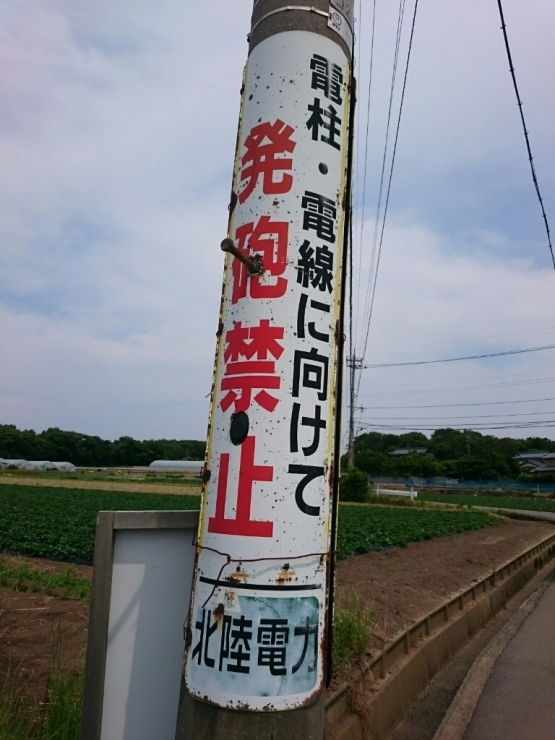 d0095673_20420938.jpg